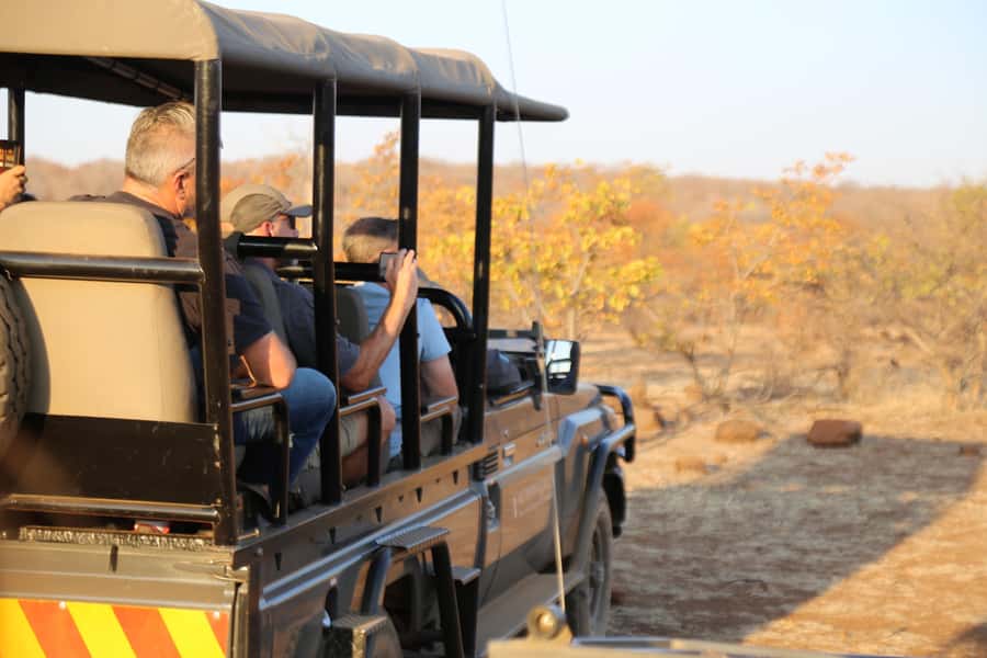 Zambezi National Park Game Drive in a Small Group - Wildlife Expectations: What You Can See (And What to Accept)