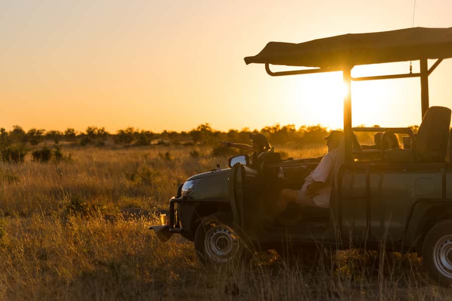 Zambezi National Park Game Drive in a Small Group - The Open 4x4 Ride: Where You’ll Get the Best Animal Viewing
