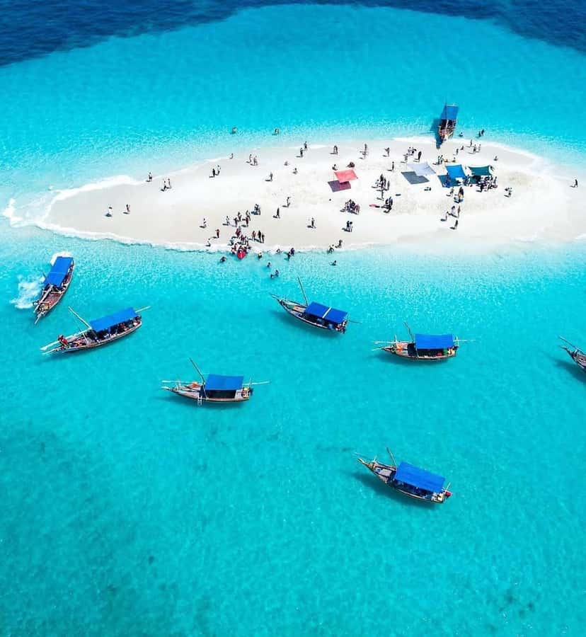 Zanzibar: Safari Blue Lagoon Trip with Snorkeling and Lunch - Key things I’d circle on your plan