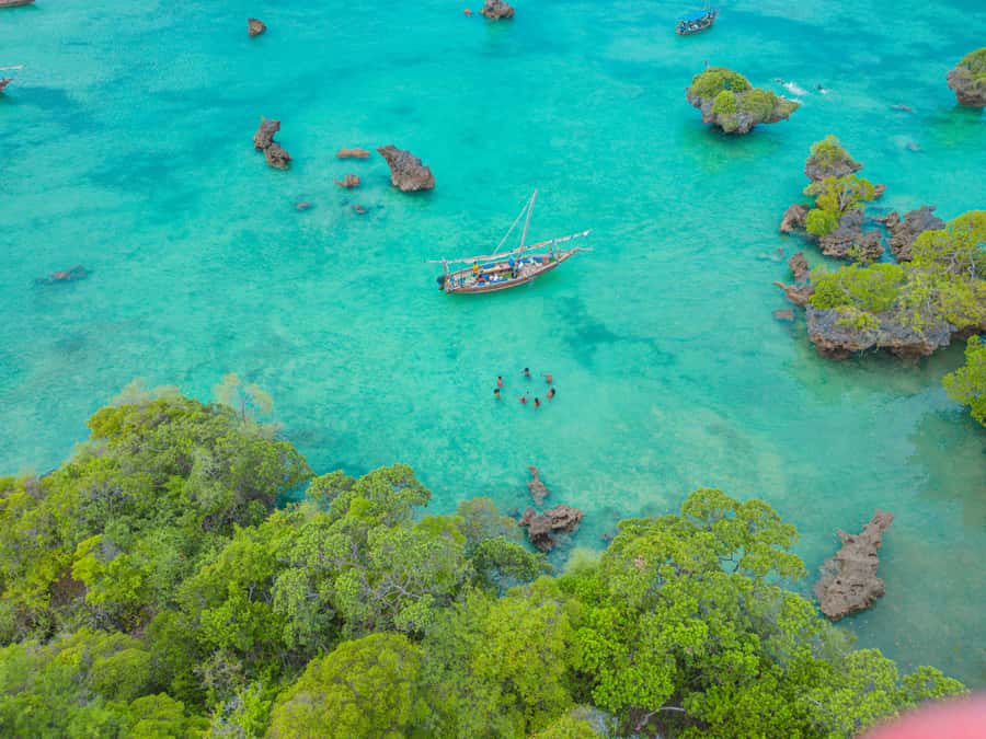 Zanzibar: Safari Blue Lagoon Trip with Snorkeling and Lunch - Kwale Island: lunch with views, plus guided breaks and shopping time