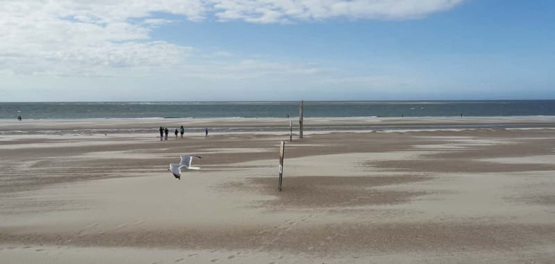 Zeeland Strand safari met visnet NL/DE - Magnifying jars and ID cards: turning catches into real learning