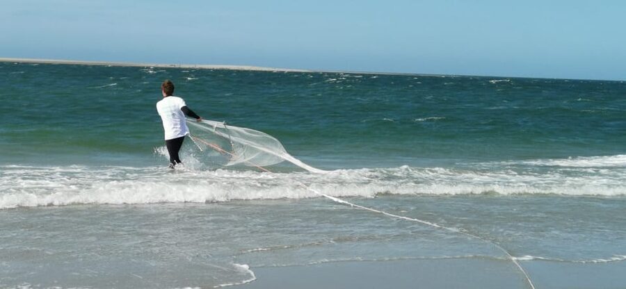 Zeeland Zeehonden strand safari NL/DE - Price and Value: Is $19 Worth It?